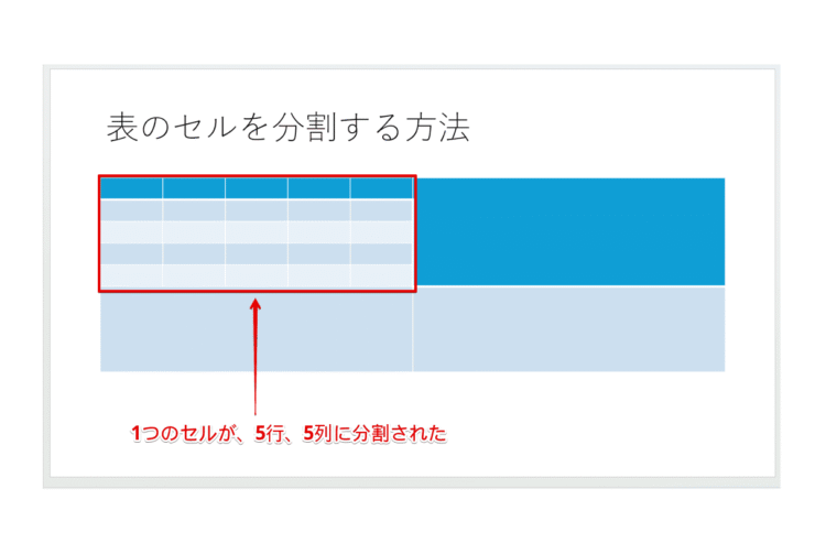 セルの分割が完了