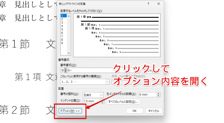 オプションを開く